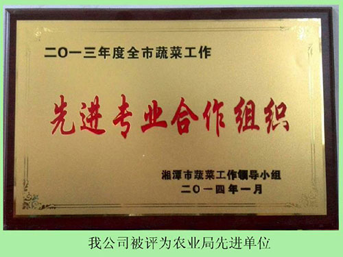 農業(yè)局先進(jìn)單位