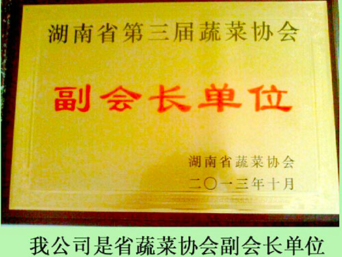 蔬菜協(xié)會(huì )副會(huì )長(cháng)單位